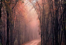 成都亚健康调理指南:告别身体被掏空,重塑健康活力