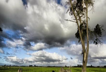 成都养生指南：中年白领亲测，调理脾胃少踩坑的实用方法