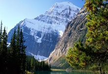 成都养生指南:中年白领亲测,调理脾胃少踩坑的实用方法