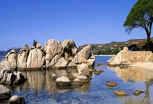 成都养生指南:中年白领亲测,调理脾胃少踩坑的实用方法