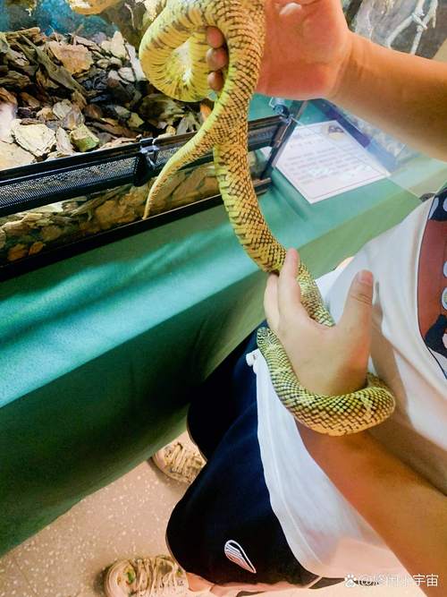 成都桑拿指南：避坑推荐哪里好？朋友亲测体验分享